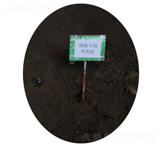 辣椒有機(jī)肥-農(nóng)神肥業(yè)