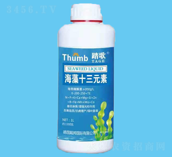 ����ʮ��Ԫ��-̤��-����r�I(y��)