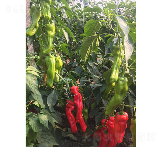 �R���2219���������N��-�A���r(n��ng)�I(y��)