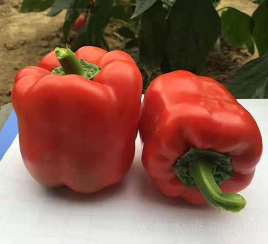 �t�G��2191���ʽ��N��-�A���r(n��ng)�I(y��)