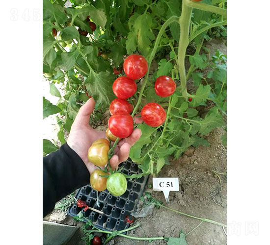 �Ї��t���ҷ��ѷN��-�A���r(n��ng)�I(y��)