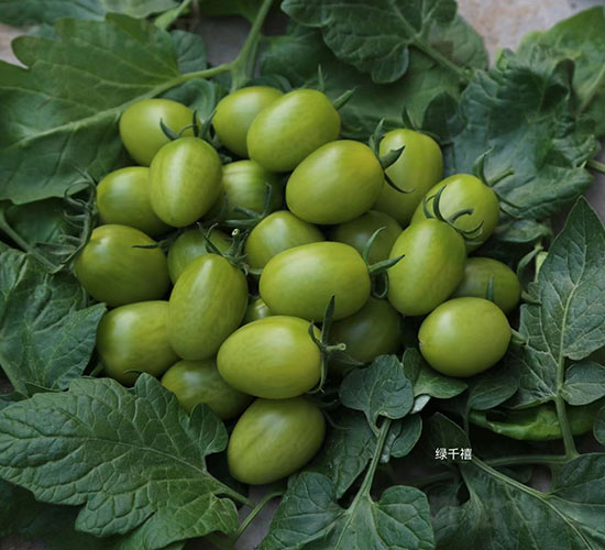 �Gǧ�����ҷ��ѷN��-�A���r(n��ng)�I(y��)