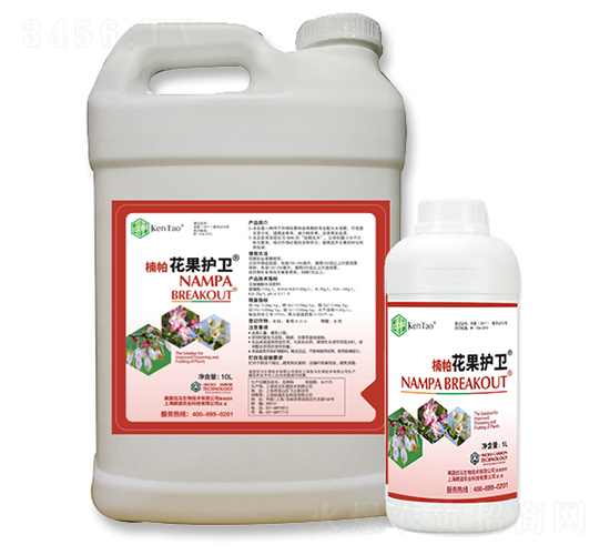 楠帕花果護(hù)衛(wèi)-耕道