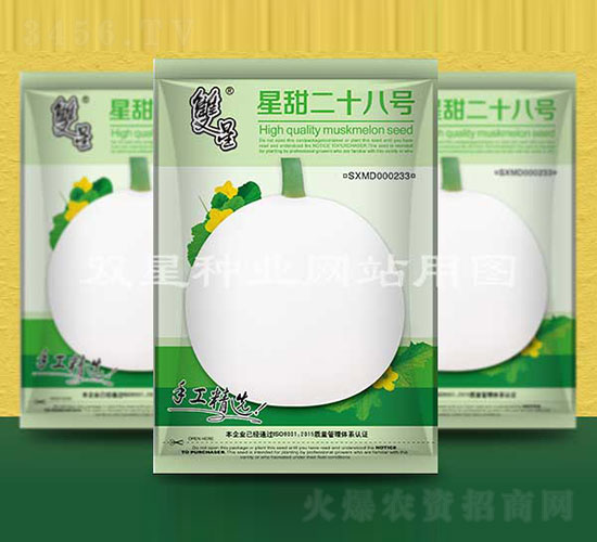 �����ʮ��̖-��ϷN��-�p�ǷN�I(y��)