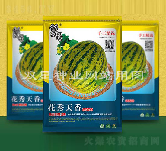 ��������-��ϷN��-�p�ǷN�I(y��)