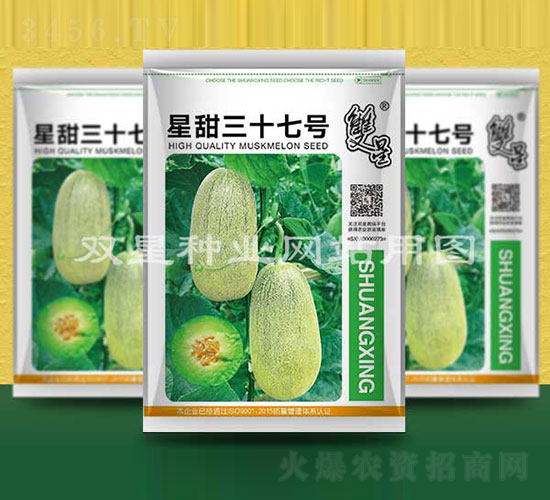 星甜三十七號-甜瓜種子-雙星種業(yè)