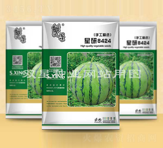 ����8424-���ϷN��-�p�ǷN�I(y��)