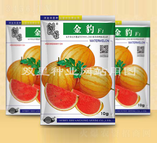 ��-���ϷN��-�p�ǷN�I(y��)