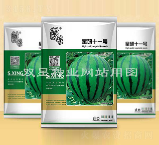 ����ʮһ̖-���ϷN��-�p�ǷN�I(y��)