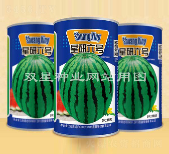 ������̖(h��o)-���ϷN��-�p�ǷN�I(y��)