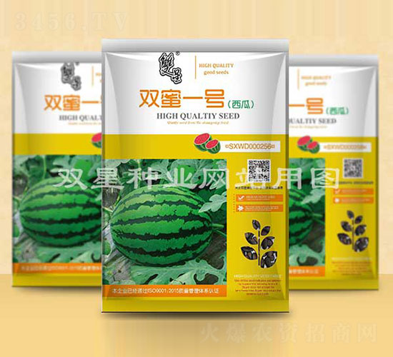 �p��һ̖(h��o)-���ϷN��-�p�ǷN�I(y��)