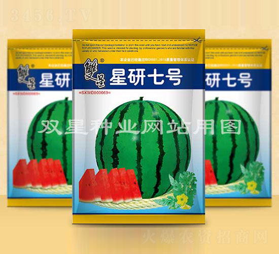 ������̖-���ϷN��-�p�ǷN�I(y��)