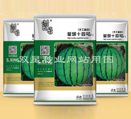 ����ʮ��̖(h��o)-���ϷN��-�p�ǷN�I(y��)