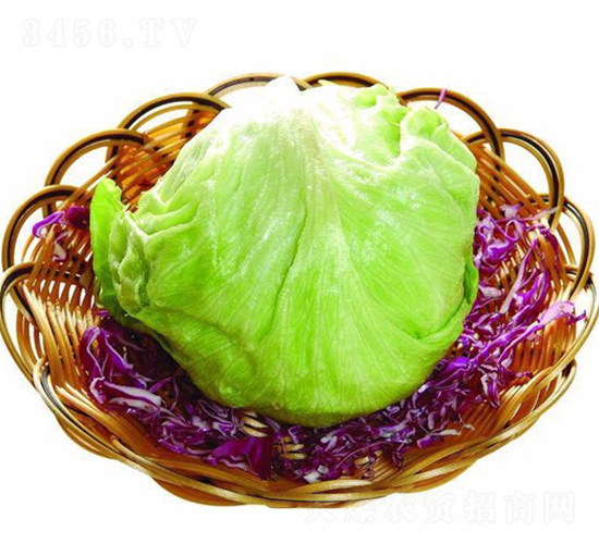 �A������-���˷N��-�A���N��