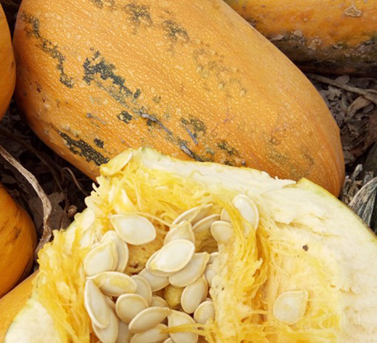 �A������-�����J�N��-�A���N��