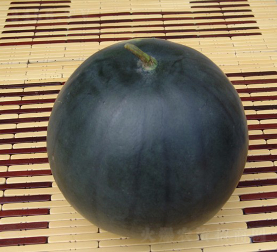 ������-���ϷN��-�A���N��