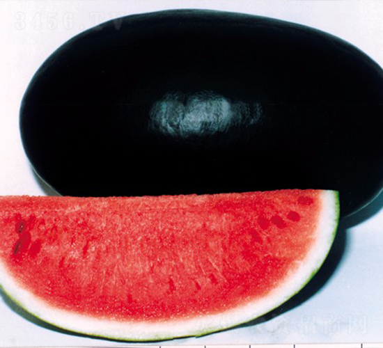 �ڌ�܊-���ϷN��-�A���N��