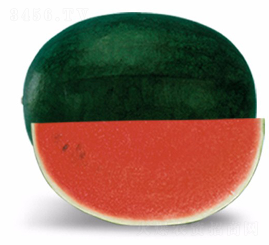 ī�t-���ϷN��-�A���N��