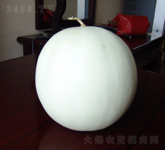 ����-��ϷN��-�A���N��