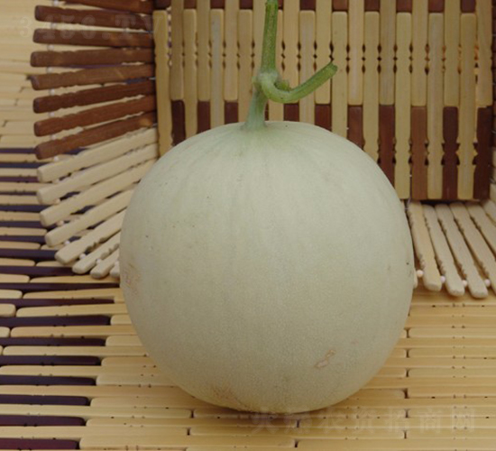 ����-��ϷN��-�A���N��