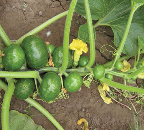 ����-�����J�N��-�A���N��