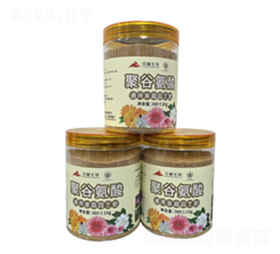 �۹Ȱ��Ứ��-�з�����