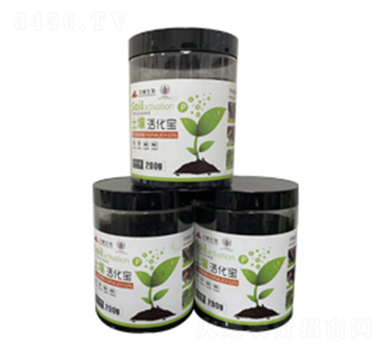 �������-�з�����