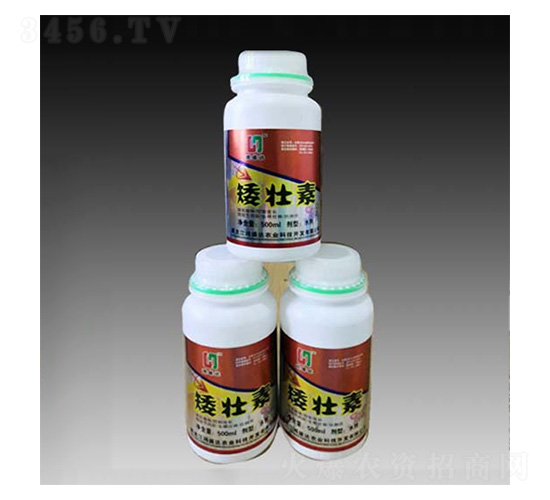 ������-��ʢ�_(d��)