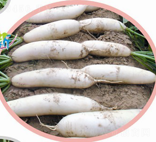 Ӣ���s���}��-�}���N��-�V��