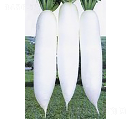 �h�����}��-�}���N��-�V��