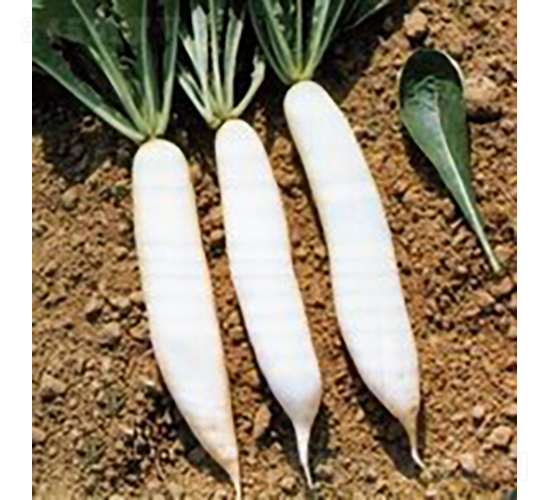 22̖���~13�}��-�}���N��-�V��