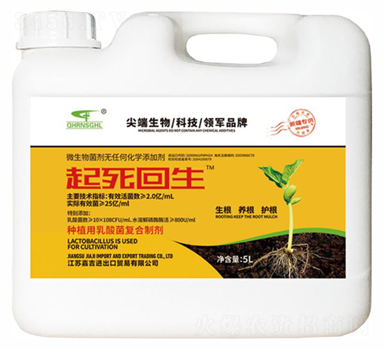 ��������5L-(li��n)��μ�