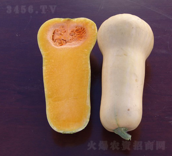 ������-�ϹϷN��-�A���N��