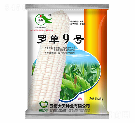 ���׷N��-�_��9̖-����N�I(y��)