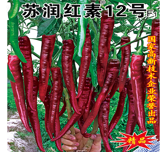 �K���t��12̖-�����N��-�K���N�I(y��)