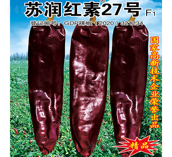 �K��(r��n)�t��27̖(h��o)-�����N��-�K��(r��n)�N�I(y��)