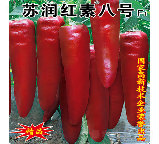 �K���t�ذ�̖-�����N��-�K���N�I(y��)