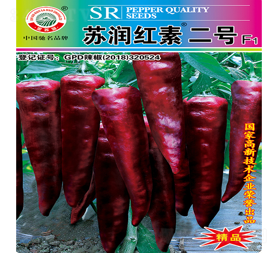 �K���t�ض�̖-�����N��-�K���N�I(y��)