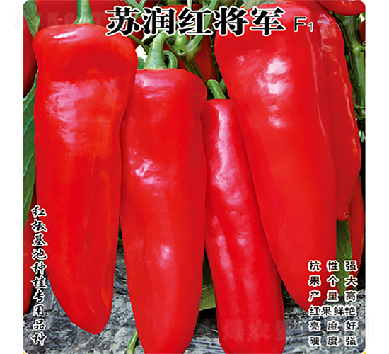 �K���t��܊-�����N��-�K���N�I(y��)