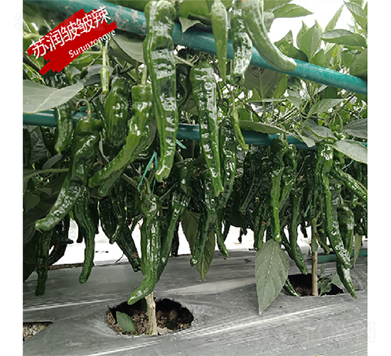 �K��������-�����N��-�K���N�I(y��)