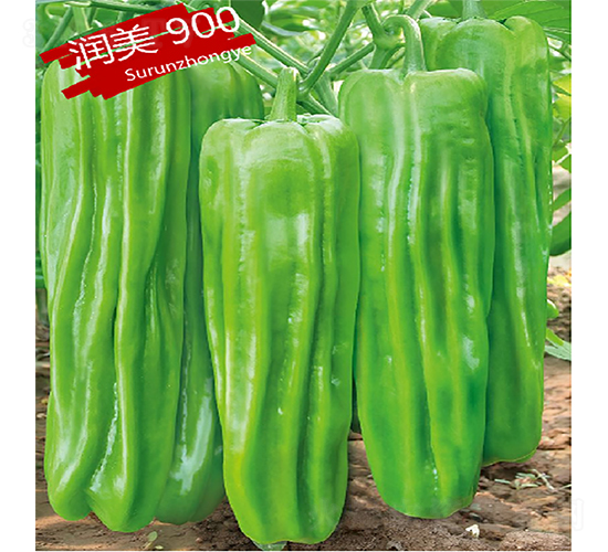 �K��(r��n)900-�����N��-�K��(r��n)�N�I(y��)