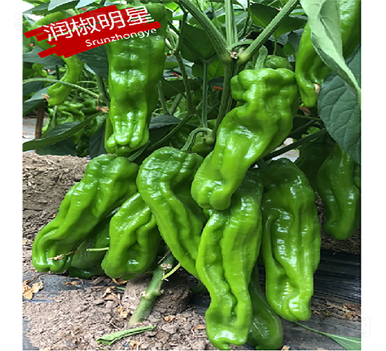 ��(r��n)������-�����N��-�K��(r��n)�N�I(y��)