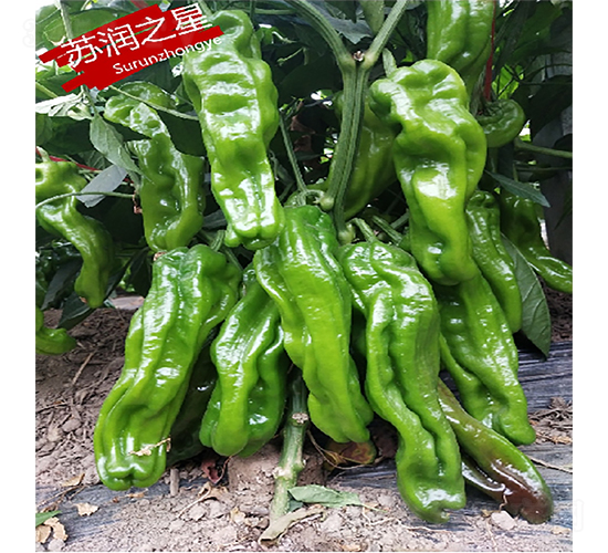 �K��֮��-�����N��-�K���N�I(y��)