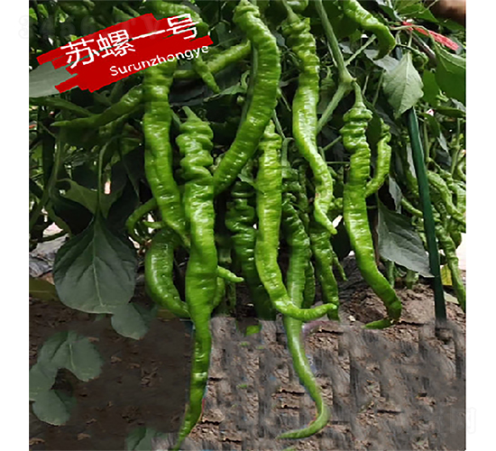 �K��һ̖-�����N��-�K���N�I(y��)