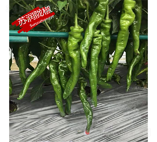 �K��(r��n)�]��-�����N��-�K��(r��n)�N�I(y��)