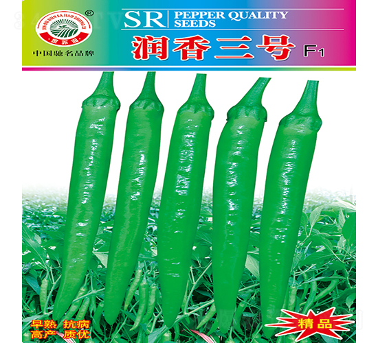 ������̖-�����N��-�K���N�I(y��)