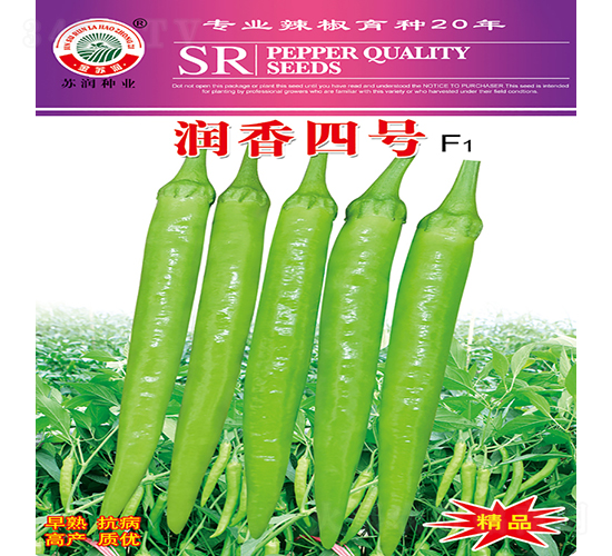 ��(r��n)����̖(h��o)-�����N��-�K��(r��n)�N�I(y��)