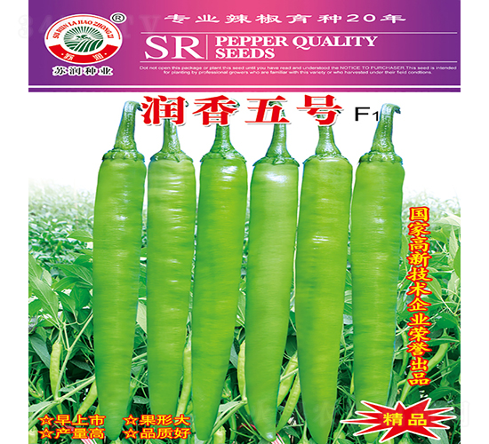 ��(r��n)����̖(h��o)-�����N��-�K��(r��n)�N�I(y��)