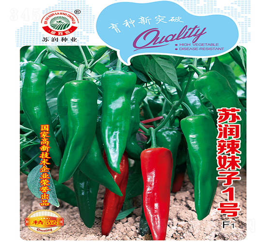 辣妹子1號-辣椒種子-蘇潤種業(yè)