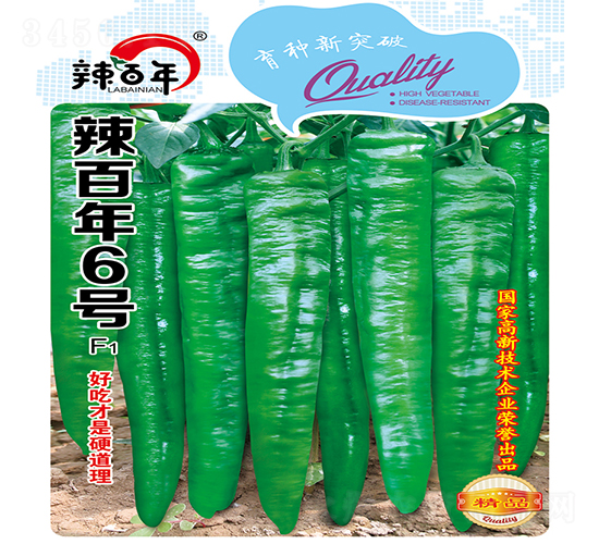 ������6̖-�����N��-�K���N�I(y��)